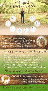 leták SM systém1
